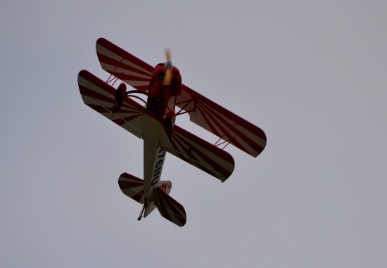 dsc_0141.jpg